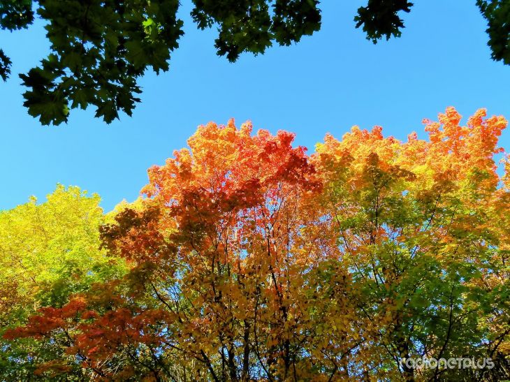 Осенняя эротика