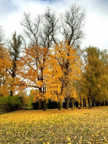 На бульваре ночном
