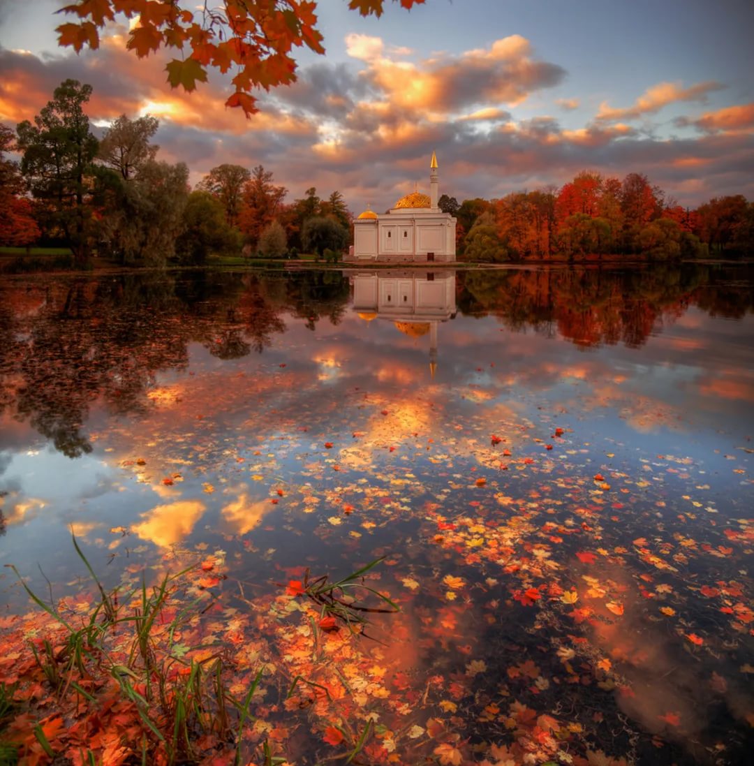 Ты когда-нибудь прочитаешь