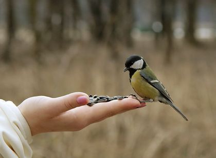 Продолжим разговор...