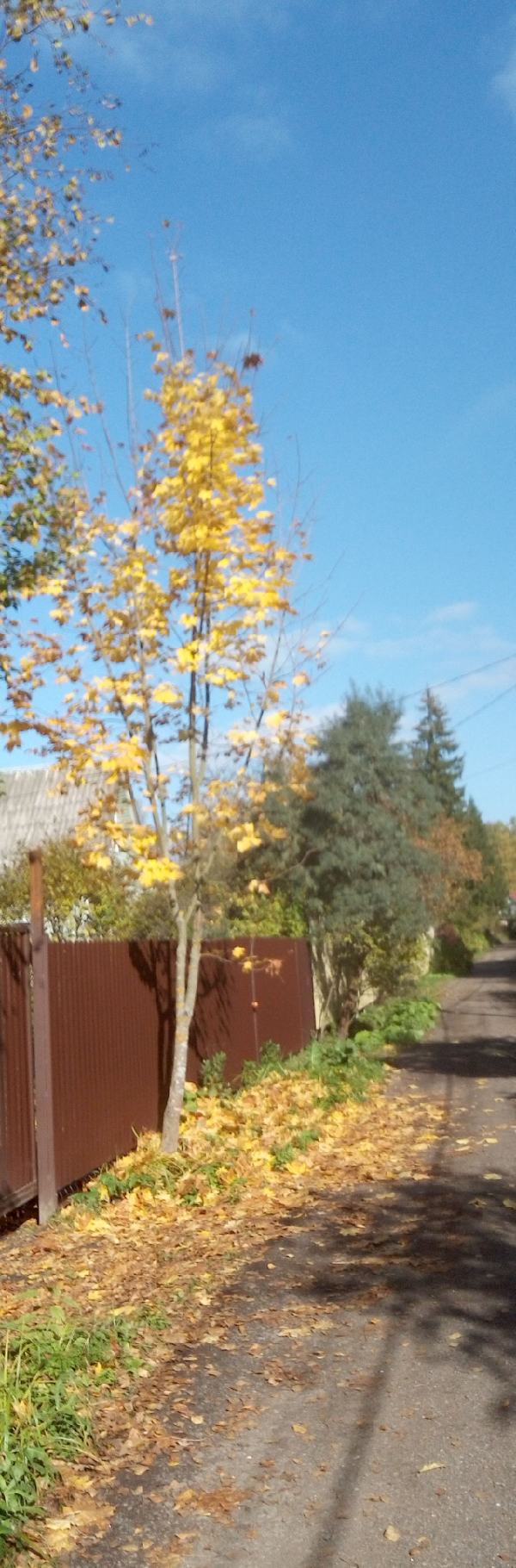 Зарисовка 82