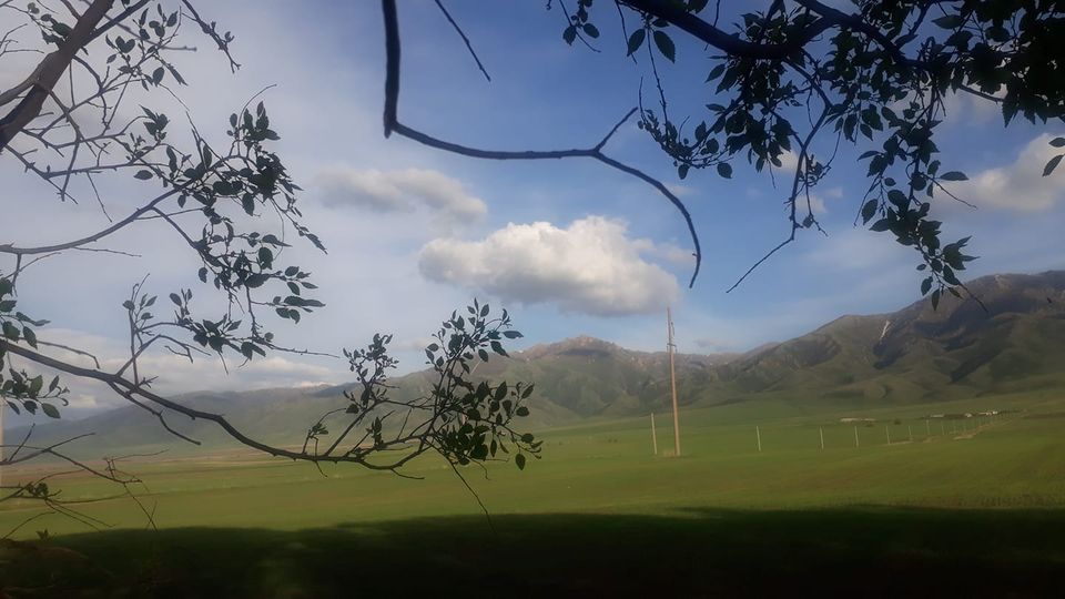 В деревне