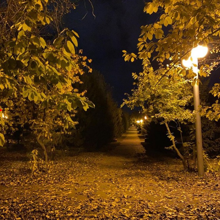 Шёпот листьев