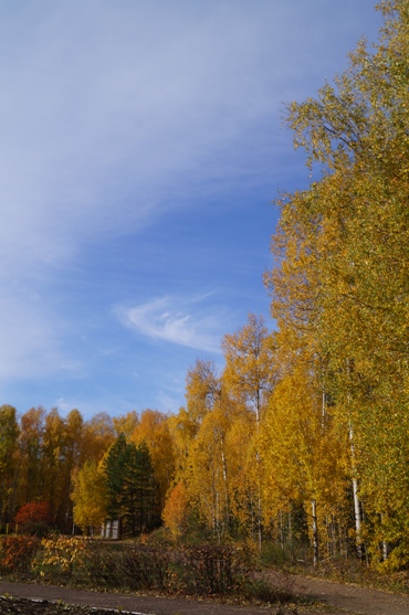 Проказник-октябрь...