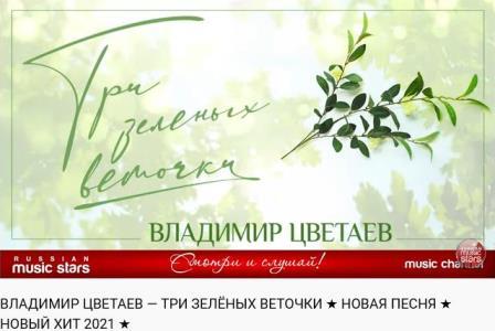 Три зелёных веточки