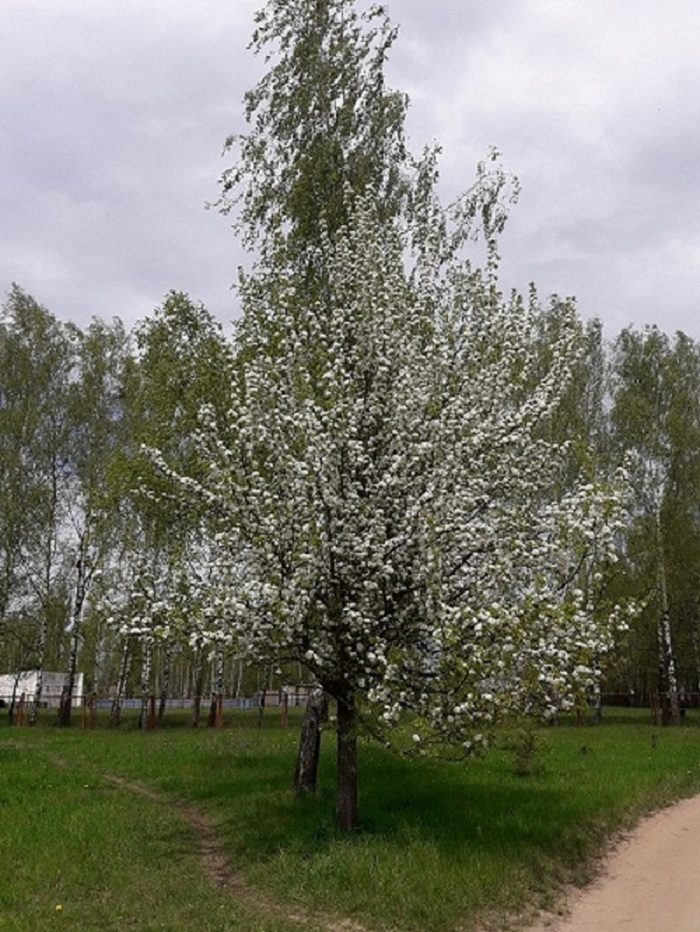 Она и мы