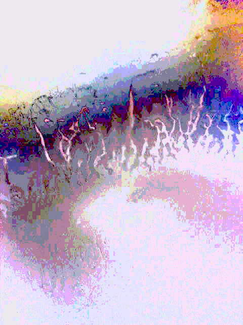 Летели фонари, бежала вдоль дорога