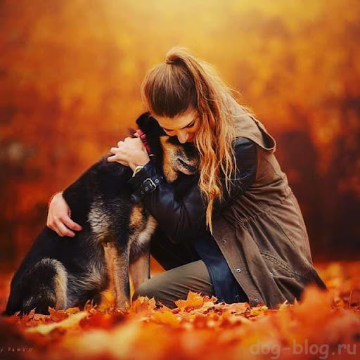 Сентиментальность...