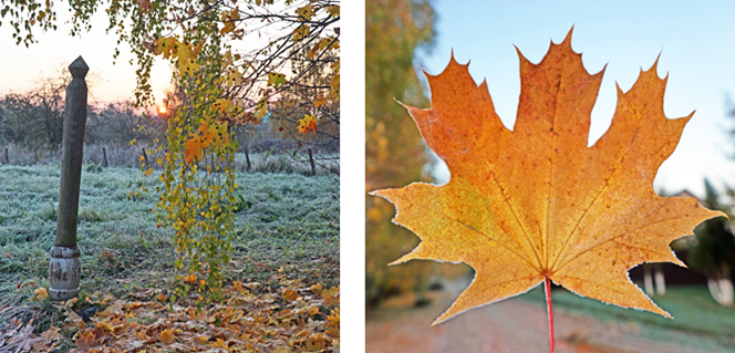 8-е октября 2021 года