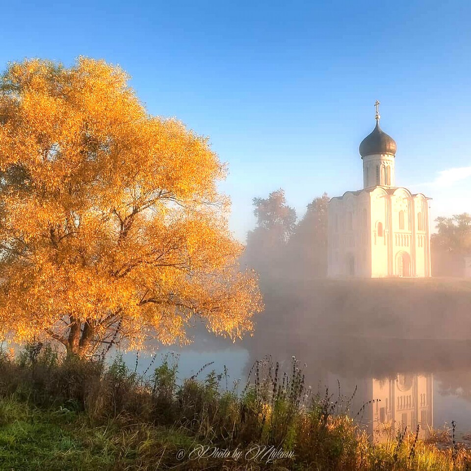 Природа Покрова на Нерли