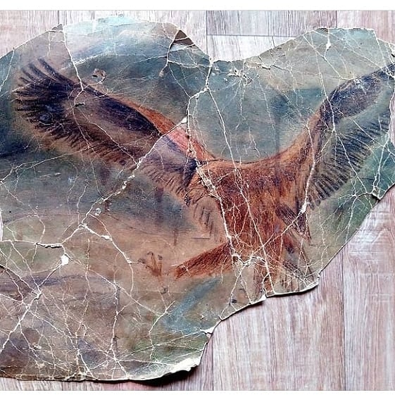 Незаконнорожденная