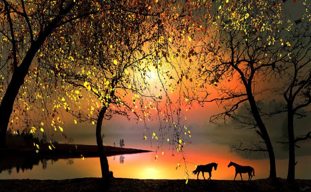 Бывает час такой...