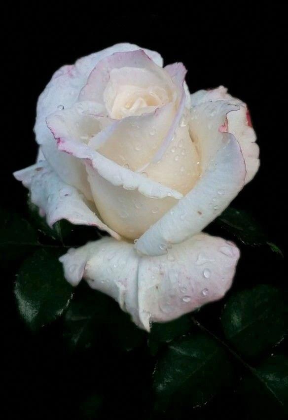 Веру ты в себе добудь