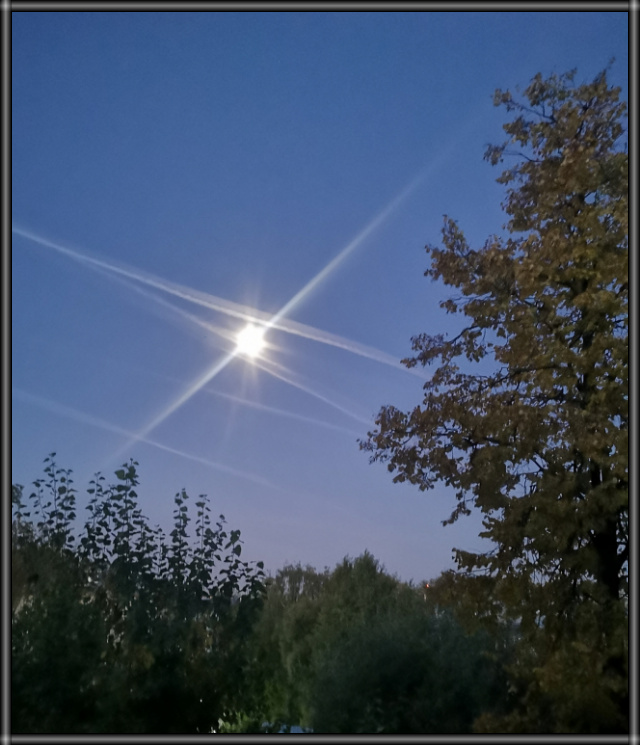 Если солжёшь мне...