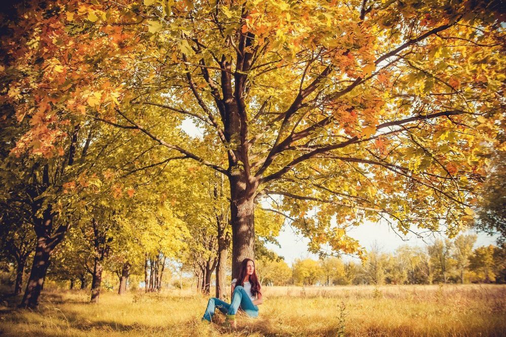 Золотые метели