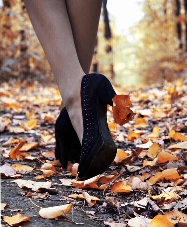 Улететь бы...