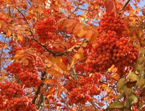 Осенний вечер