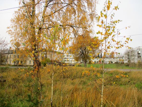 Ещё про осень