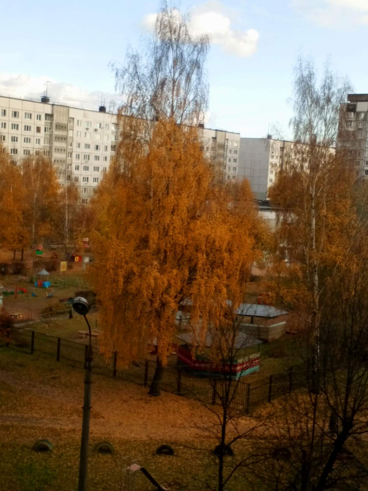 Осенняя росстань