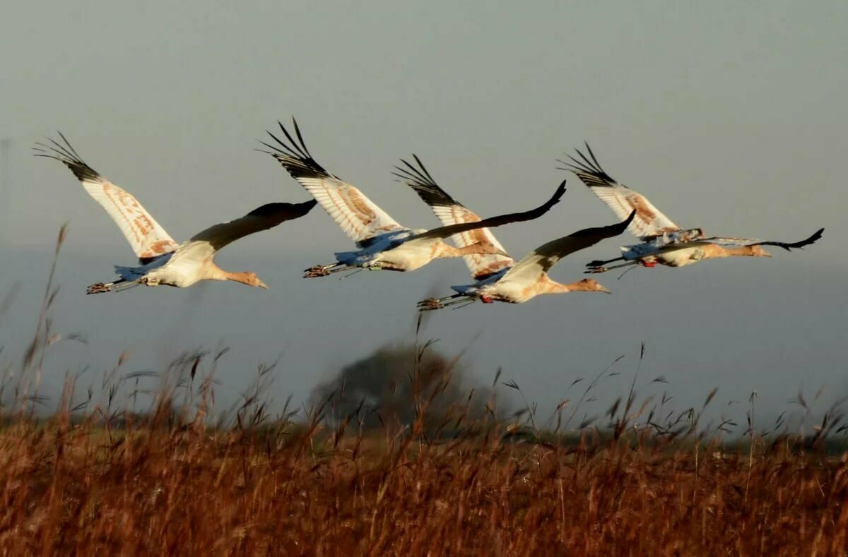 Ведь это просто осень!