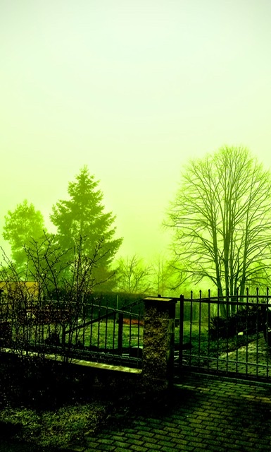 Зелёный туман