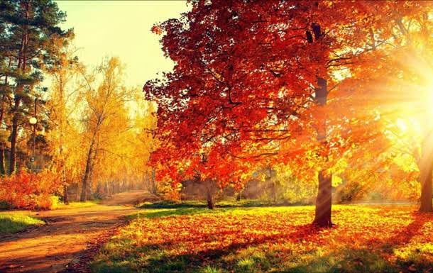 Октябрь - веселый и крылатый,