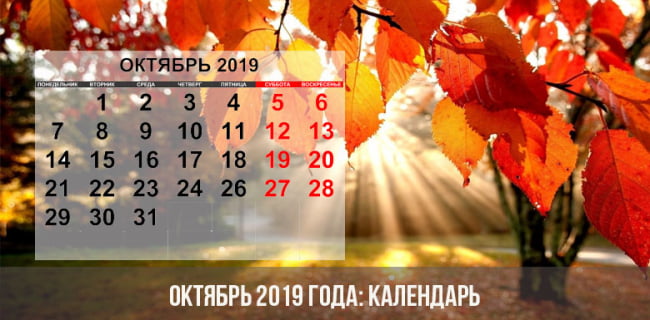 Зовут его как?!
