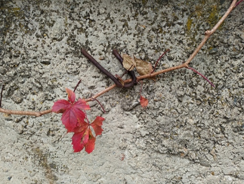 Между железом и бетоном