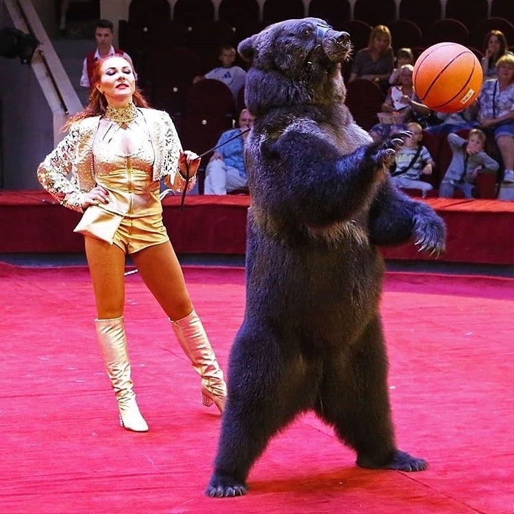 Алия Такшантова