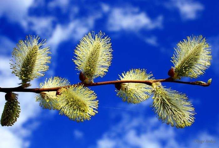 Такая нежность к небушку внутри!