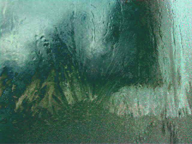 Закипел мелкий дождь на заре