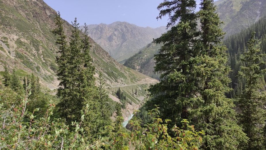 Не пытаясь спуститься