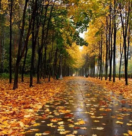 Печальная осень