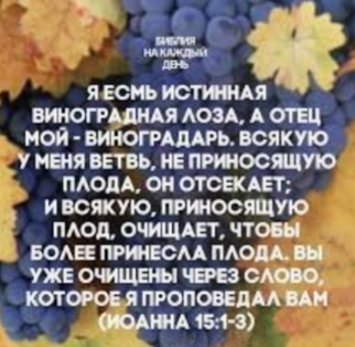Стараюсь быть привитой...