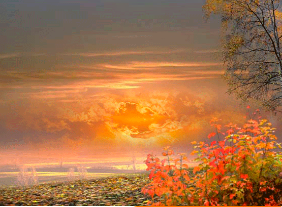 Визитки осени