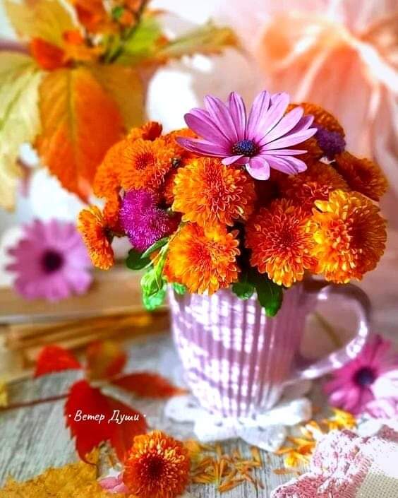 Конец октября