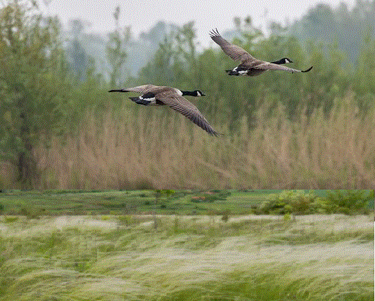 Осеннее утро