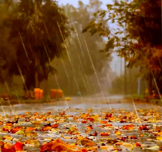 О чем плачет осень