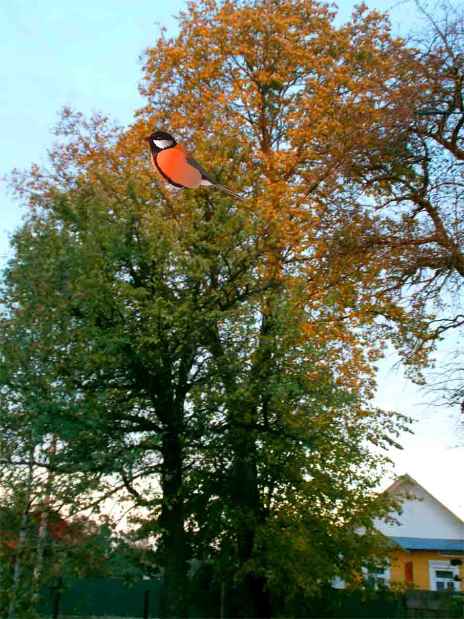 I вновь чiтаю Королёва