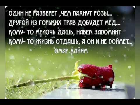 Жизнь без ошибок