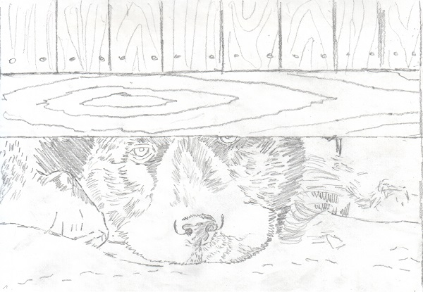 Сходил за хлебом