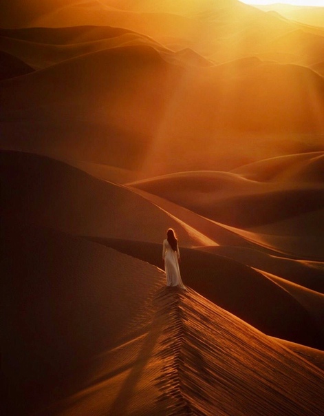 Полуночные строчки, в полтона..