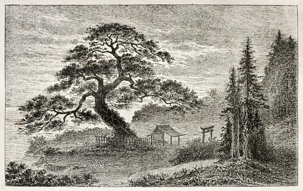 VIP, том - 1 от А до К. Тень Басё - 40