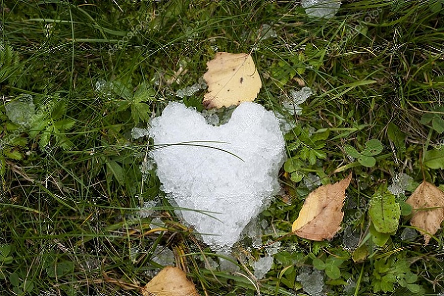 Белое сердце