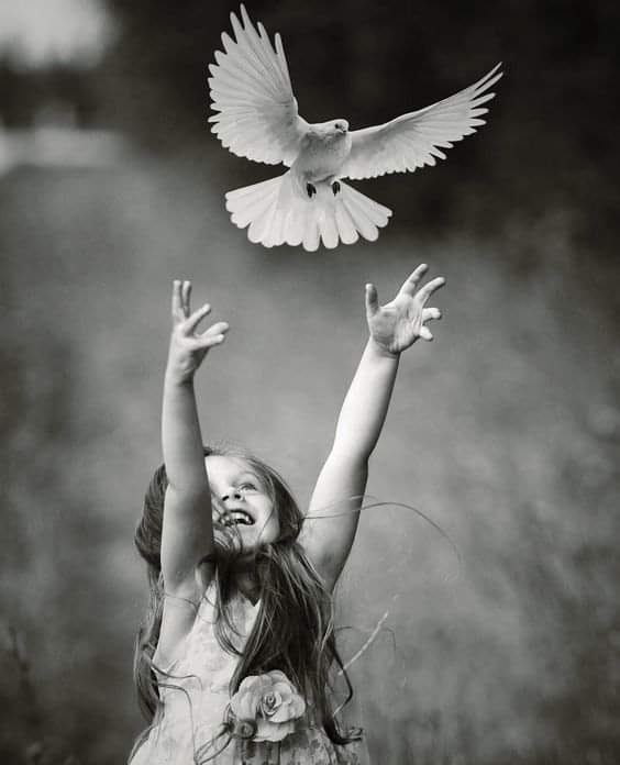 Защита прав Человека Захист прав Людини