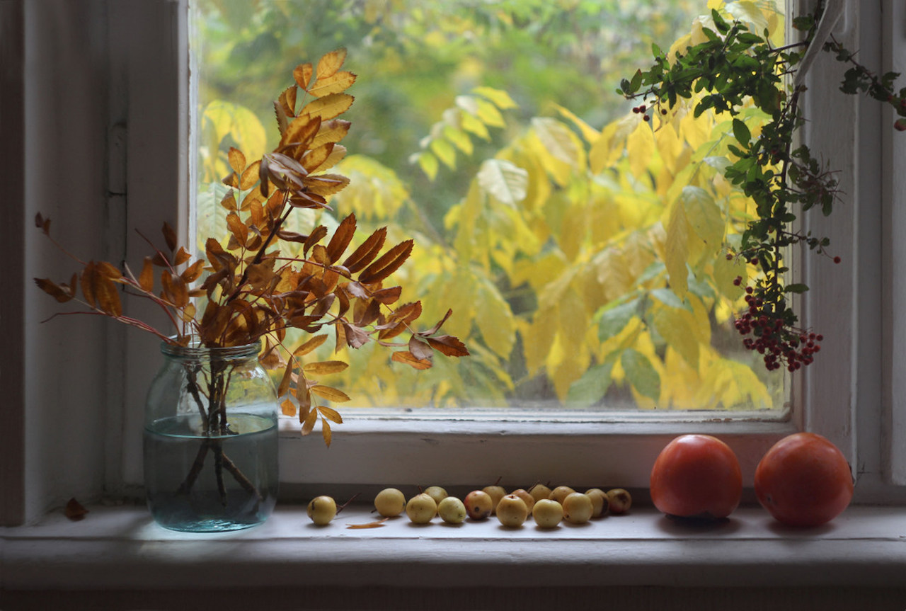 Утро стучит в окно. Осеннее окно. Окно осень. Осень из окна. Осень на подоконнике.