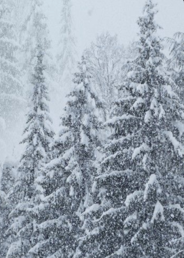 Анонимное чувство