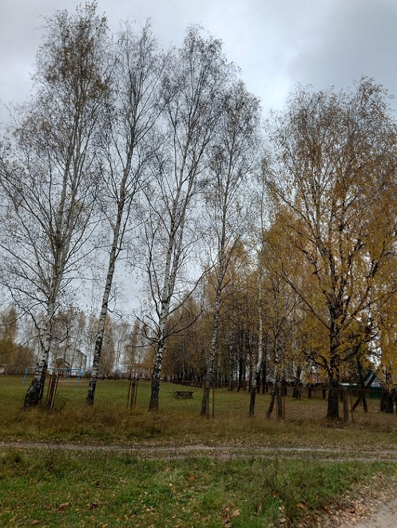 Заботник