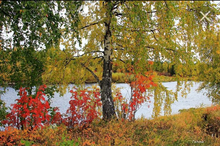 https://stihi.ru/pics/2021/10/23/6827.jpg
