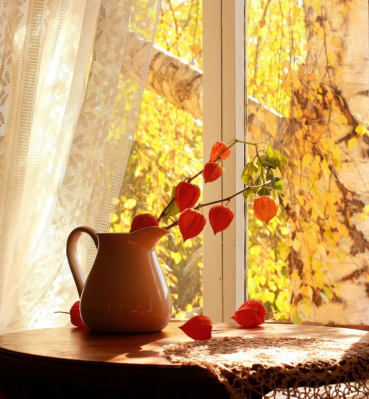 Душа моя странница